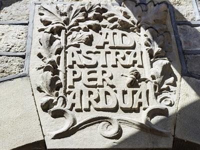Picture 19